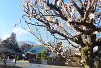 西光院(千葉県)