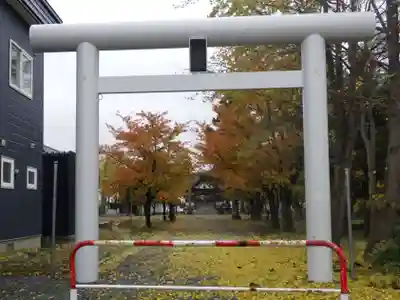 新篠津神社の鳥居