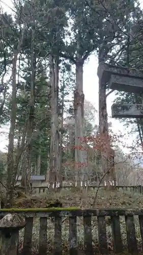 瀧尾神社（日光二荒山神社別宮）の自然