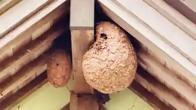 一宮神社(兵庫県)