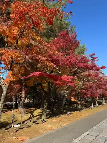 仁和寺(京都府)