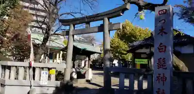 白髭神社の鳥居