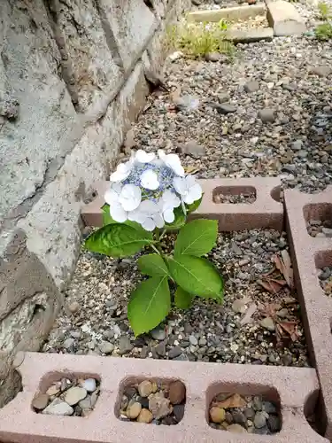 磐井神社(東京都)