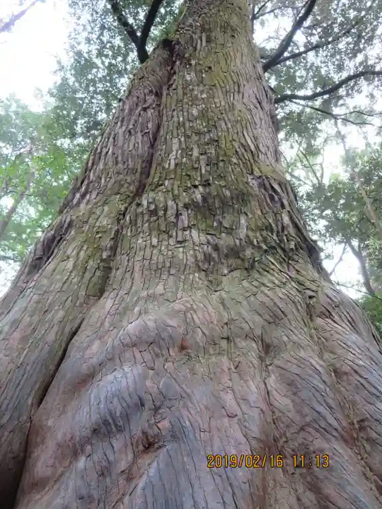 伊勢神宮内宮(皇大神宮)の自然