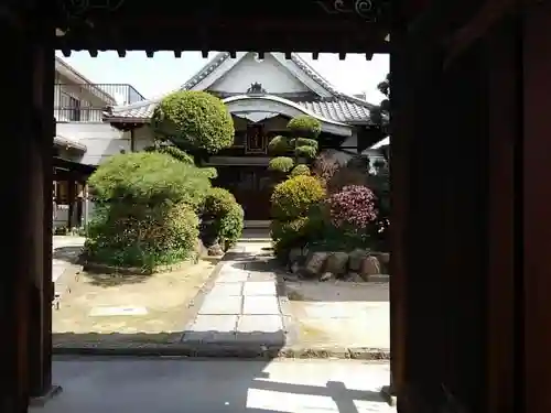 大善寺の庭園