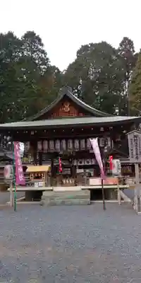 新宮神社の本殿・本堂