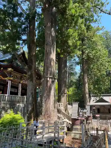 三峯神社(埼玉県)