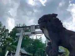 總社大神宮の狛犬