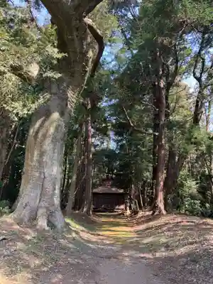 八幡神社(千葉県)