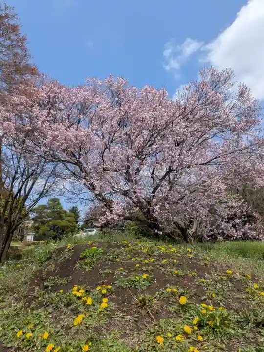 福蔵院(東京都)