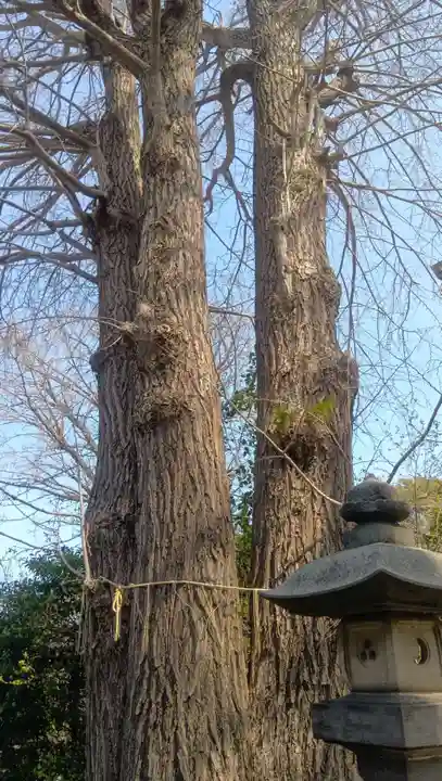 葛西神社(東京都)