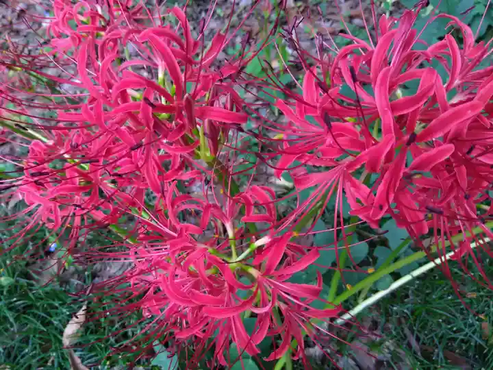江守神社(福井県)