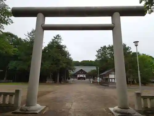 岩内神社の鳥居