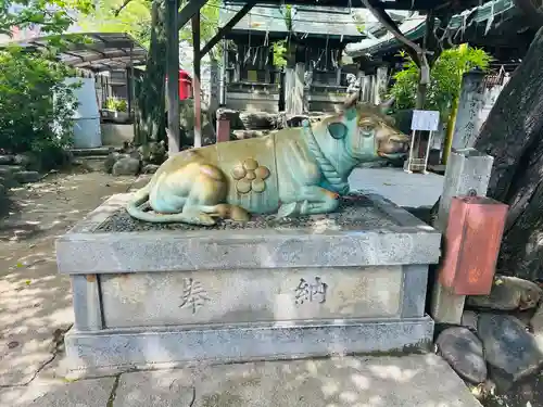 髙牟神社の狛犬