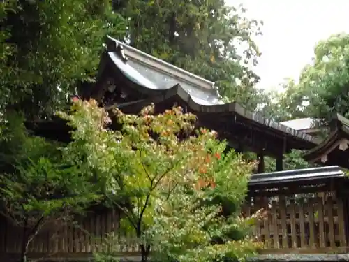 龍尾神社の本殿