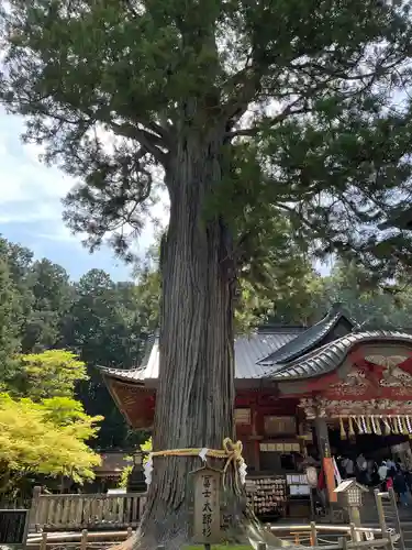 北口本宮冨士浅間神社(山梨県)