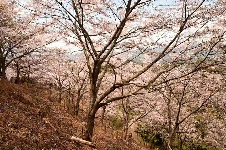 金峯神社(吉野町)の自然