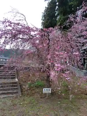 常宣寺(福島県)