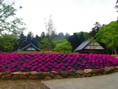 彌彦神社の庭園