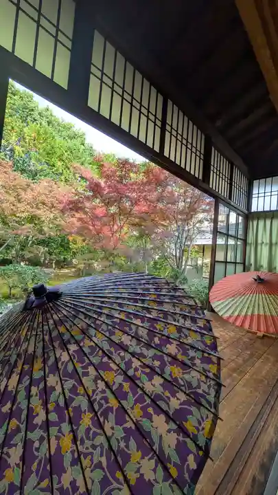 勝林寺(京都府)