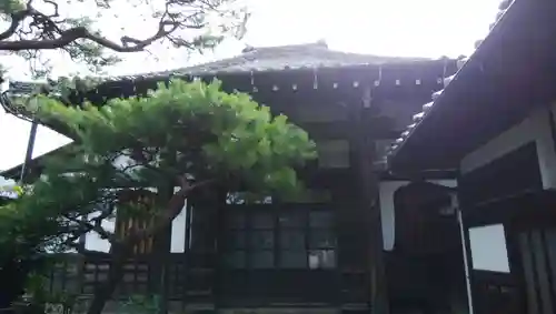 金嶺寺の本殿・本堂