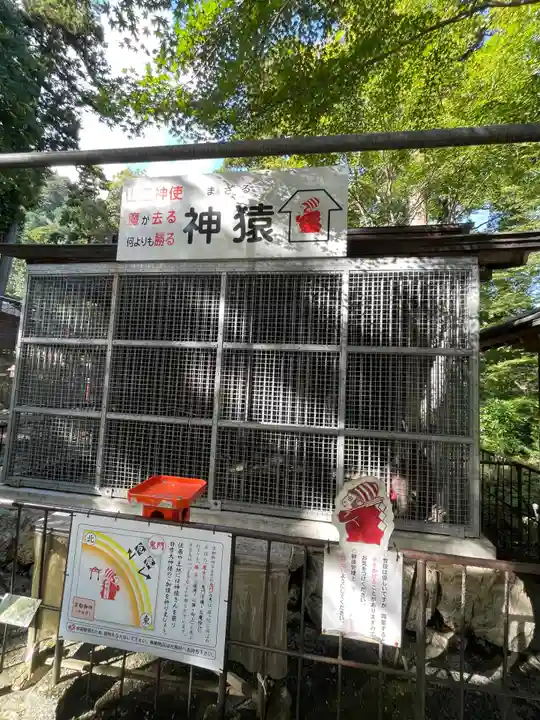 日吉大社(滋賀県)