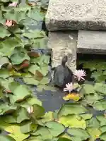 素盞嗚神社(兵庫県)