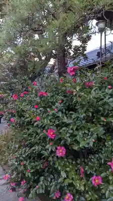 行願寺（革堂）(京都府)