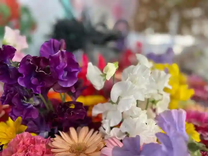札幌諏訪神社の手水舎