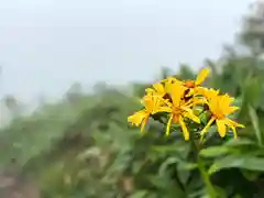 飯縄神社 奥社(長野県)