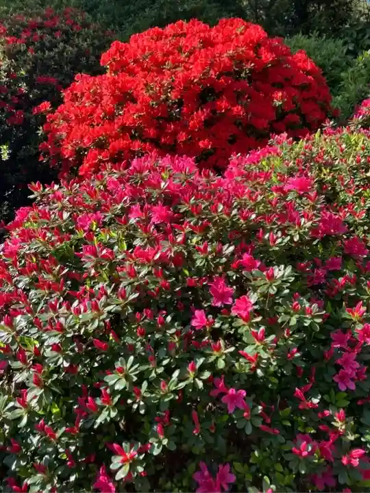根津神社(東京都)