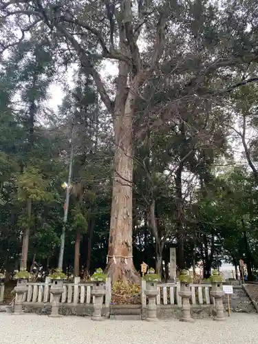 鴨都波神社の自然