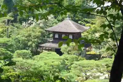 慈照寺（慈照禅寺・銀閣寺）の本殿・本堂