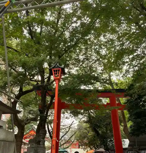 花園神社(東京都)