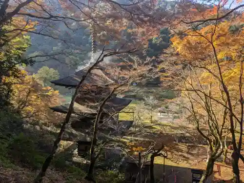 金剛院(京都府)
