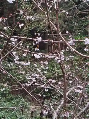 多度大社(三重県)