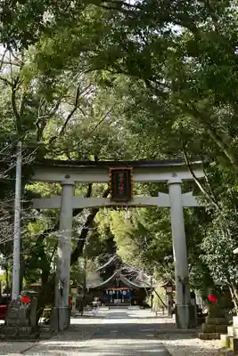 若宮八幡宮(高知県)