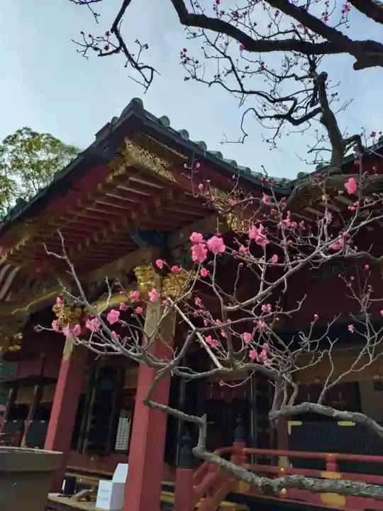 根津神社(東京都)