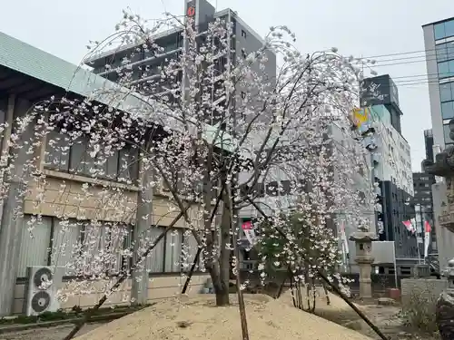 三重縣護國神社の自然