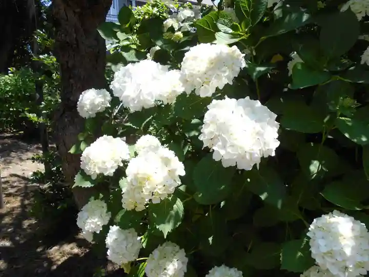 三島八幡神社(福島県)