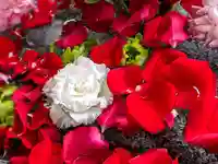 三津厳島神社の手水舎