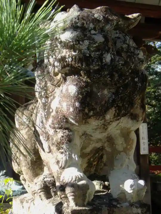 八大神社の狛犬