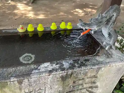 柏諏訪神社の手水舎