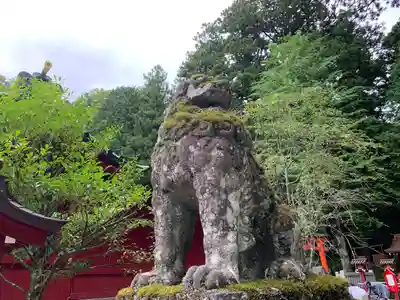 箱根神社(神奈川県)