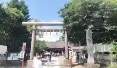 浅草神社の鳥居