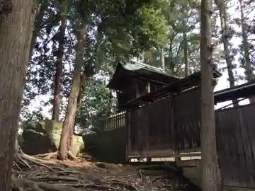 越智神社の本殿・本堂