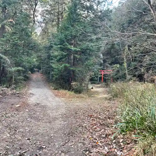 大縣神社(愛知県)