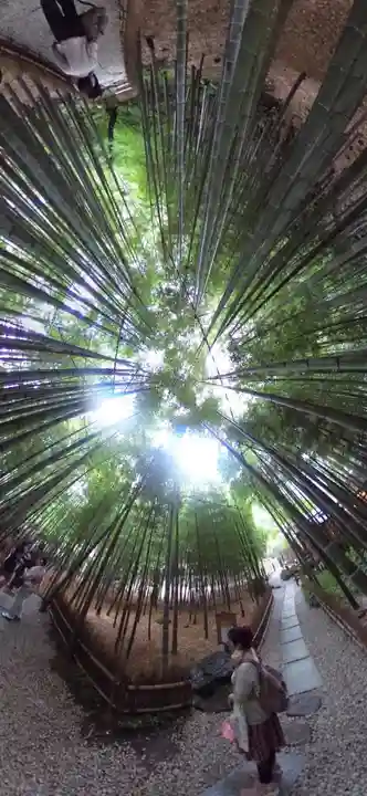 報国寺(神奈川県)
