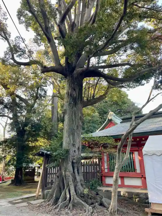 武蔵一宮氷川神社の{uncategorized: "未分類", other: "その他", undefined: "問題あり", building: "その他建物", grave: "お墓", sacred_gate: "鳥居", guardian: "狛犬", statue: "像", buddha: "仏像", history: "歴史", nature: "自然", garden: "庭園", animal: "動物", pagoda: "塔", temizu: "手水舎", mountain_gate: "山門・神門", sanctuary: "本殿・本堂", subordinate: "末社・摂社", art: "芸術", scenery: "景色", jizo: "地蔵", ema: "絵馬", goshuin: "御朱印", omikuji: "おみくじ", items: "授与品その他", amulet: "お守り", goshuincho: "御朱印帳", eats: "食事", festival: "お祭り", votive_dance: "神楽", shichigosan: "七五三参", wedding: "結婚式", experience: "体験その他", initially: "初詣", around: "周辺", anti_infection: "感染症対策"}