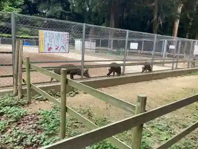 鹿島神宮(茨城県)